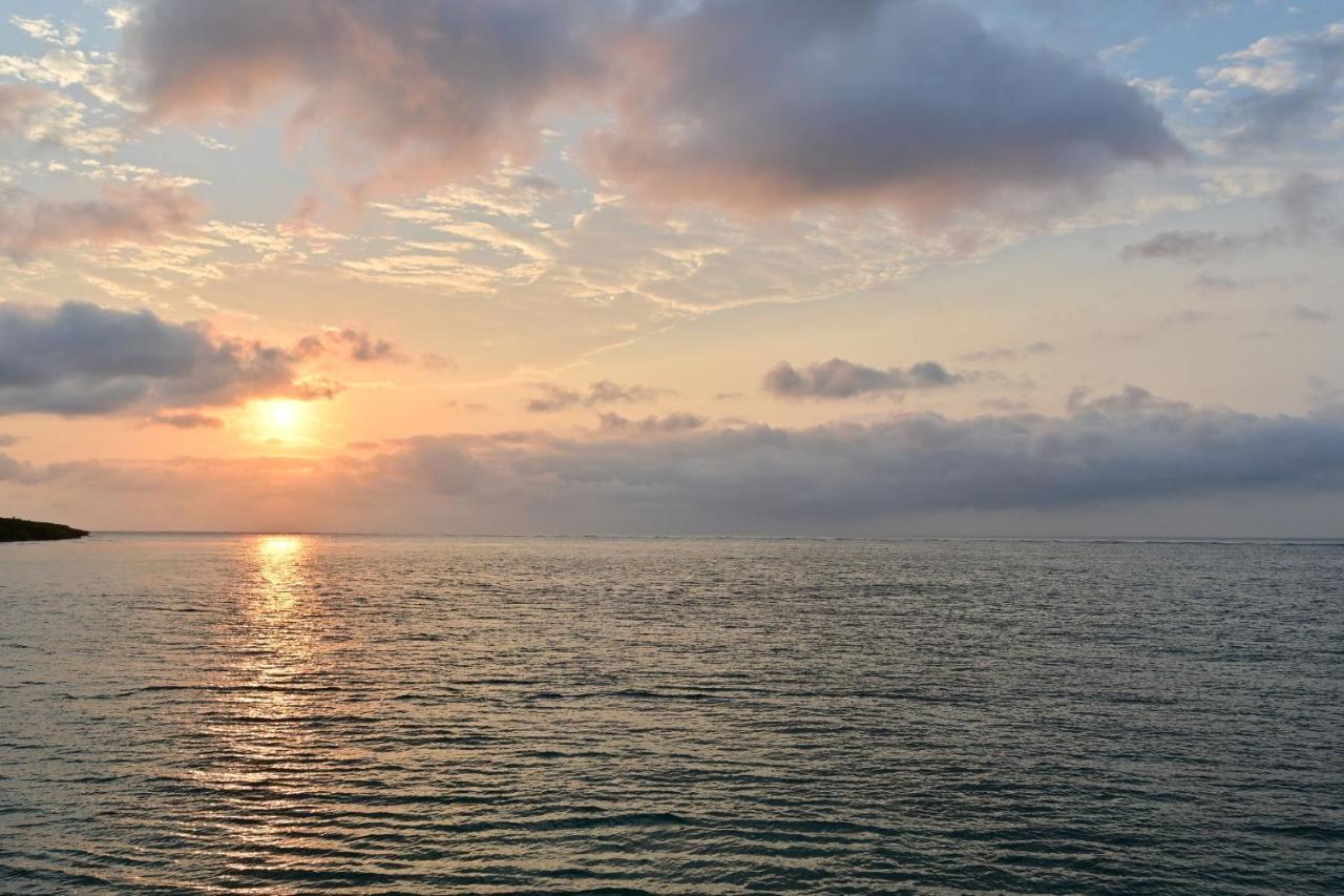Daily & Weekly Condominium Blue Ocean Ishigaki Ishigaki  Dış mekan fotoğraf